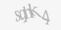 Қорғаныс коды